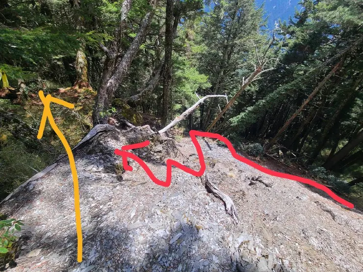 來到倒木崩塌前;黃色是一般紀錄的走法,紅色是剛剛想嘗試的