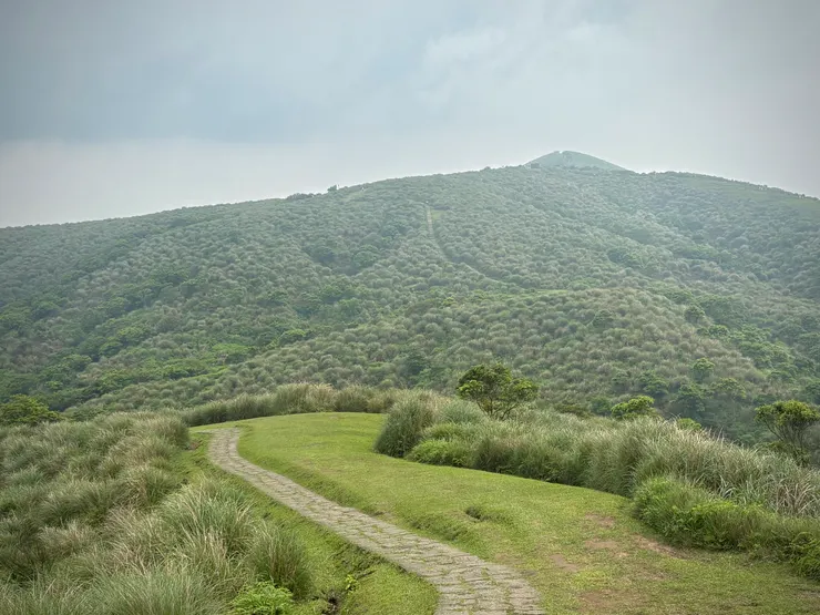 遠方的山頭就是竹篙山