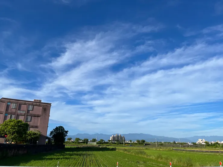 路邊的稻田，遠方的山脈