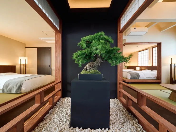 「今昔莊 天保山 松柏」由樹幹盆栽復活的松柏