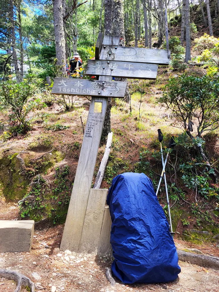 回到西峰叉路口