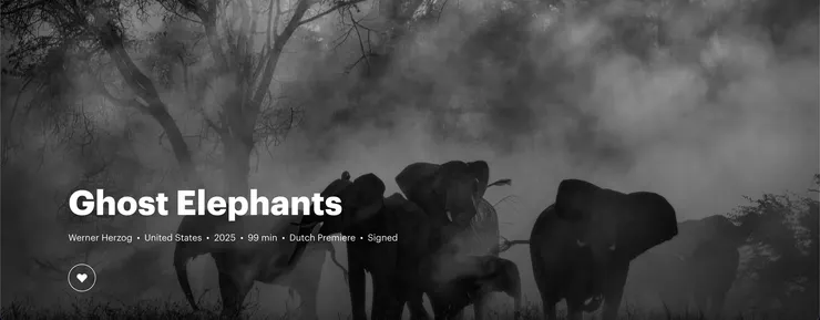  Ghost Elephants, 2025