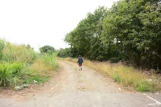 (9317)-(往新港方向拍)&nbsp;