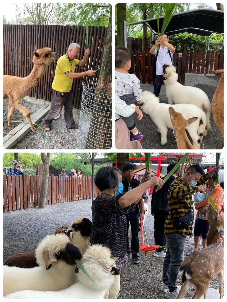 被熱情動物包圍！