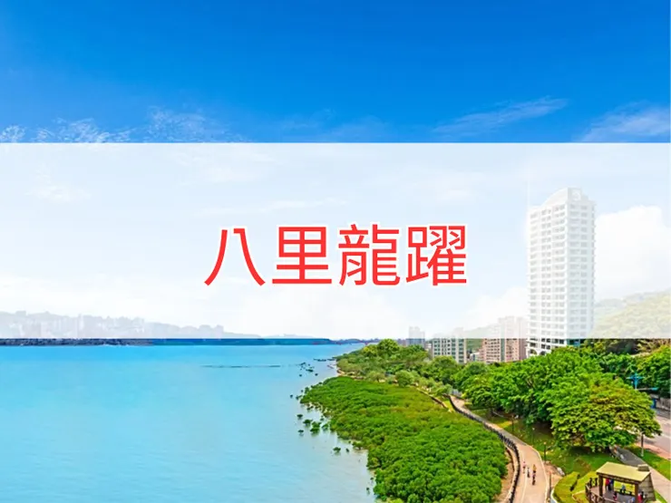 【新北】八里區 | 八里龍躍 | 二房（29坪）、三房（51、62、80坪）