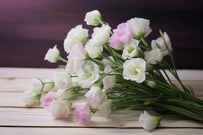 九月的天空的沙龍