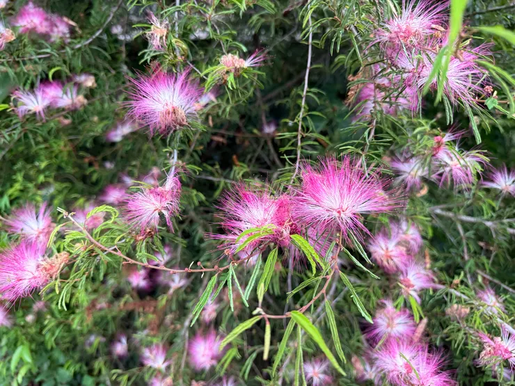 拍攝於2025/07/20 離開的時候