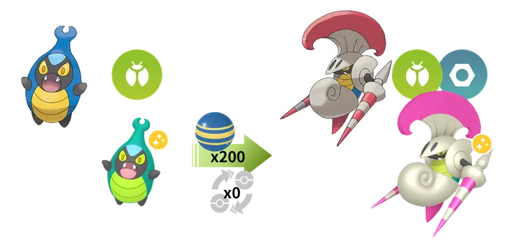 騎士蝸牛進化鏈