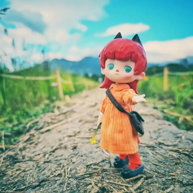 2023年11月，攝於關渡花海。