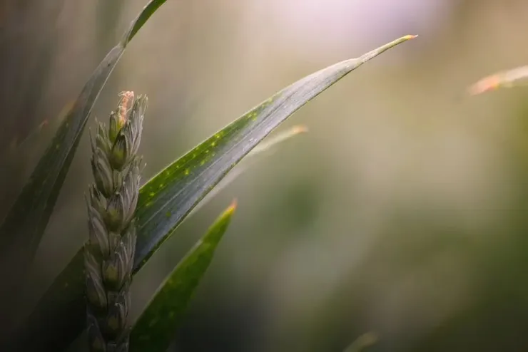 Photo by Max Kleinen on Unsplash