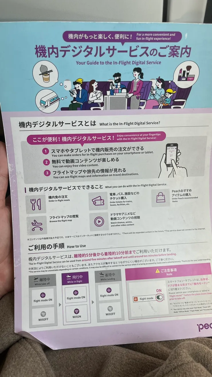 取代機上娛樂系統的部分功能。