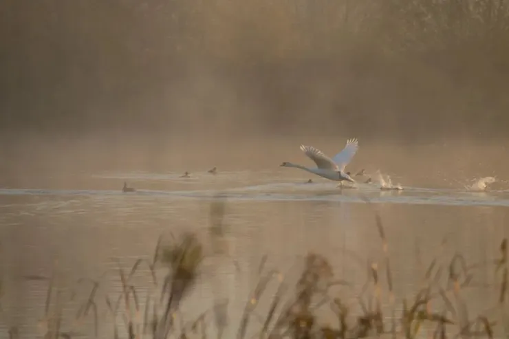 Photo by Kev Kindred on Unsplash