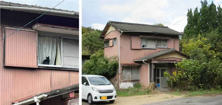 這一趟遍路，碰到不少貓咪