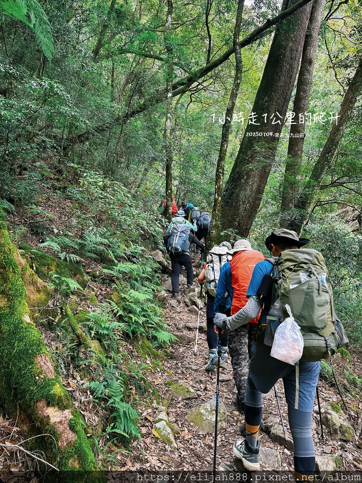 【大霸群峰4百岳。兩天一夜】觀霧大鹿林道東線騎越野單車/馬達