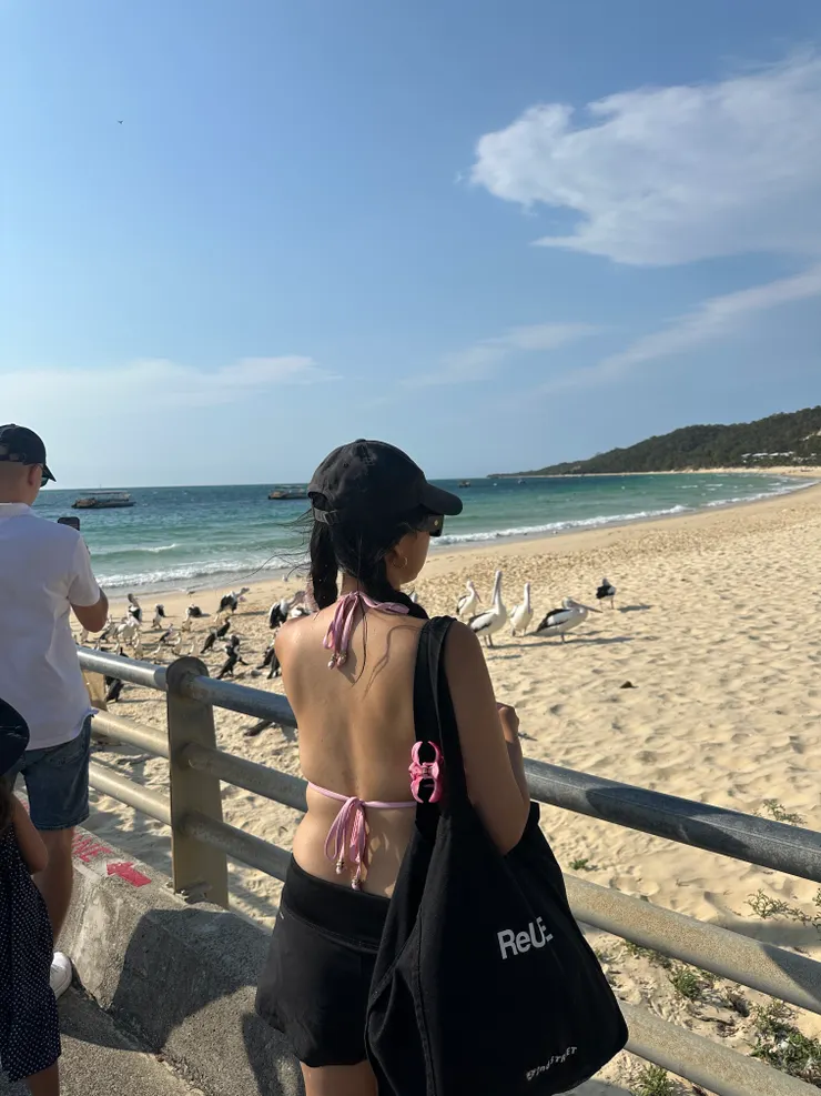 摩頓島的一些小照片