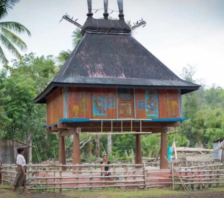 Fataluku Houses