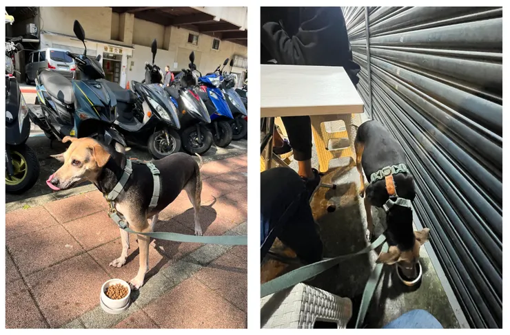 早晚在路邊吃飯