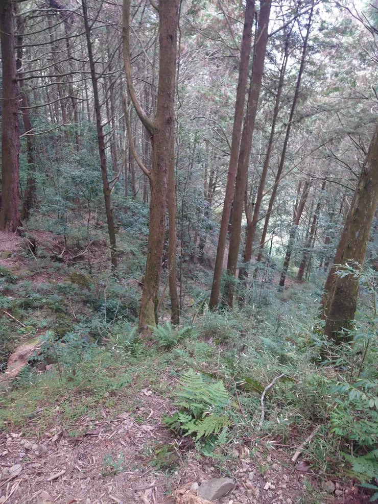 爬升完了回頭俯瞰剛剛休息的空曠處