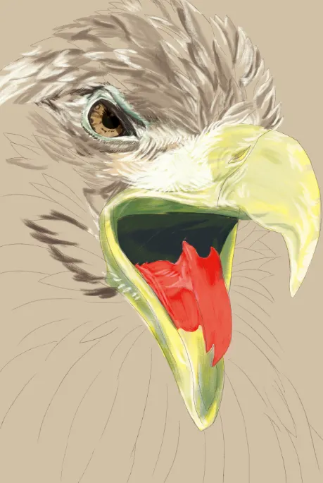 PH電繪-特寫鷹臉