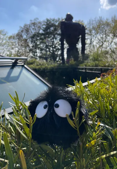 憨憨媽的伴學小記