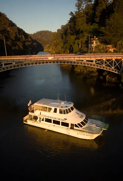 River Tamar Boat Cruise