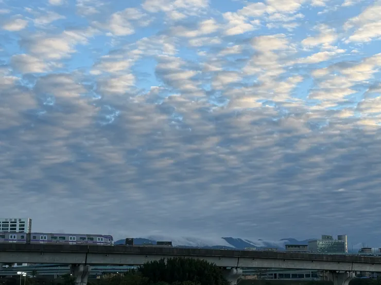 2026/01/25 運動時的風景