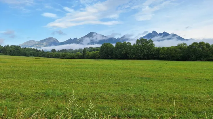 我們民宿位在的 Nová Lesná 被草地環繞