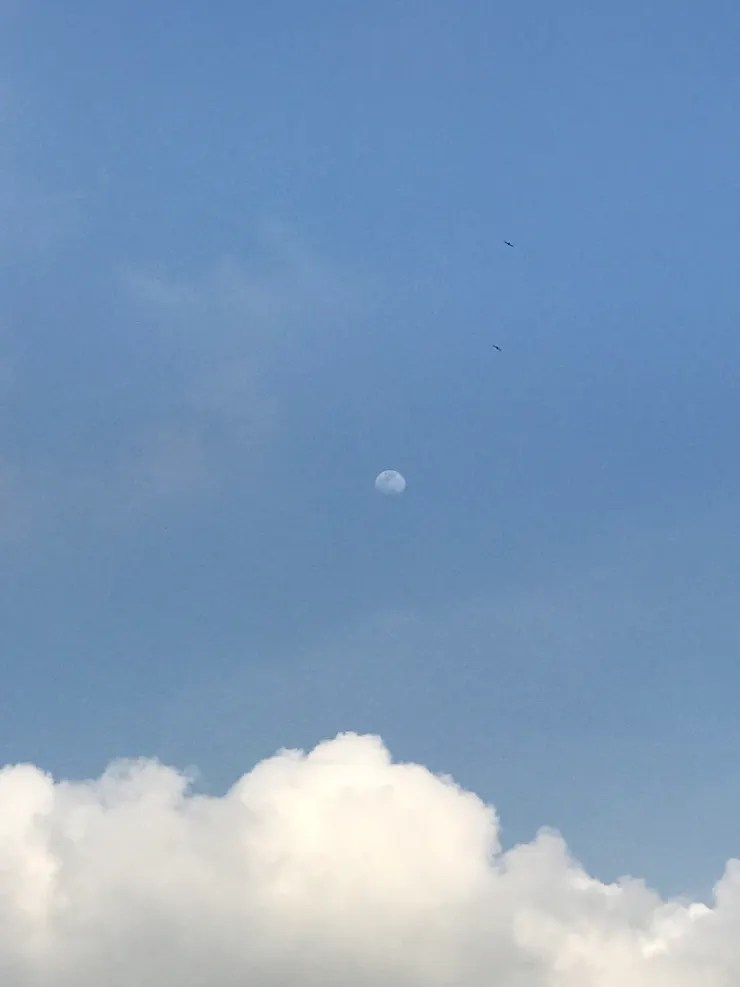 白天同時曬日月