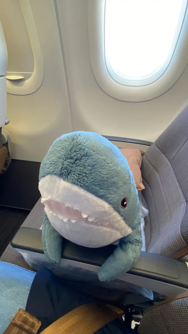 拍攝於2023年5月24日，飛往北海道的班機