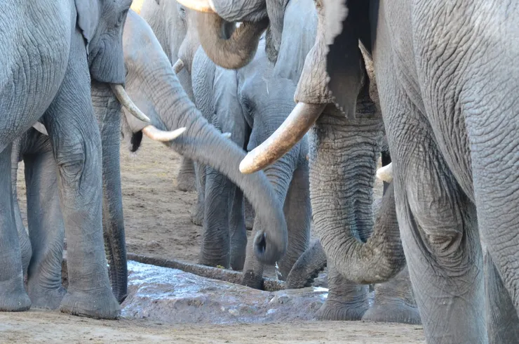 水坑只有一小條