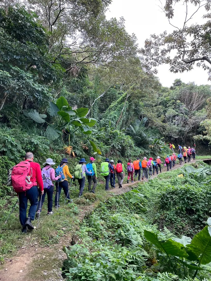前往流民窩山的山徑清晰好走，是小陳熱心整理的