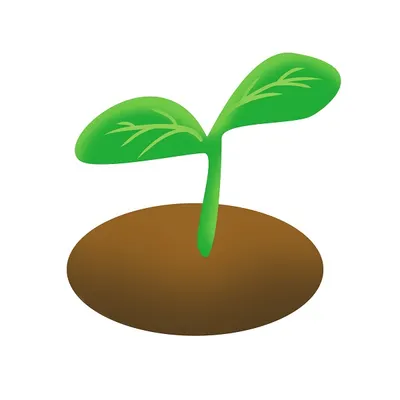 BC9（區塊韭）的沙龍