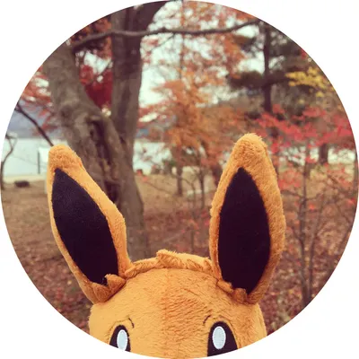 雪月風花生活實驗室 官方網站