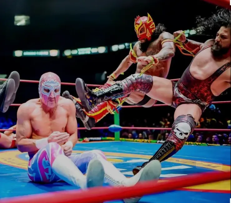 Lucha Libre（墨西哥摔角表演）