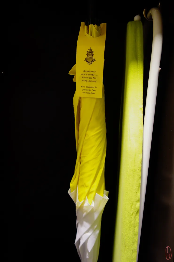 鳳梨配色的雨傘