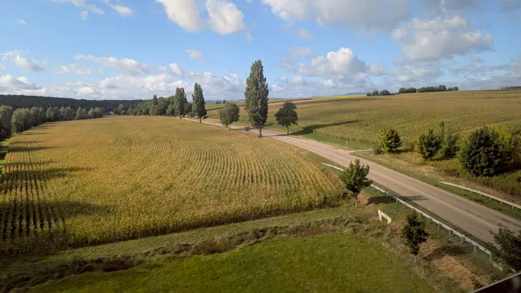 很美的法國田野小路