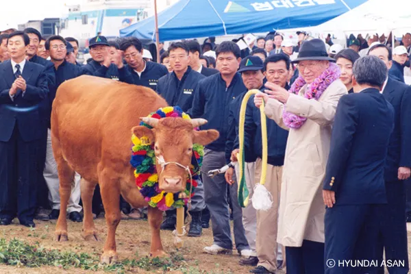 1998 年現代集團創辦人鄭周永贈牛（來源：KBS WORLD CHINESE）