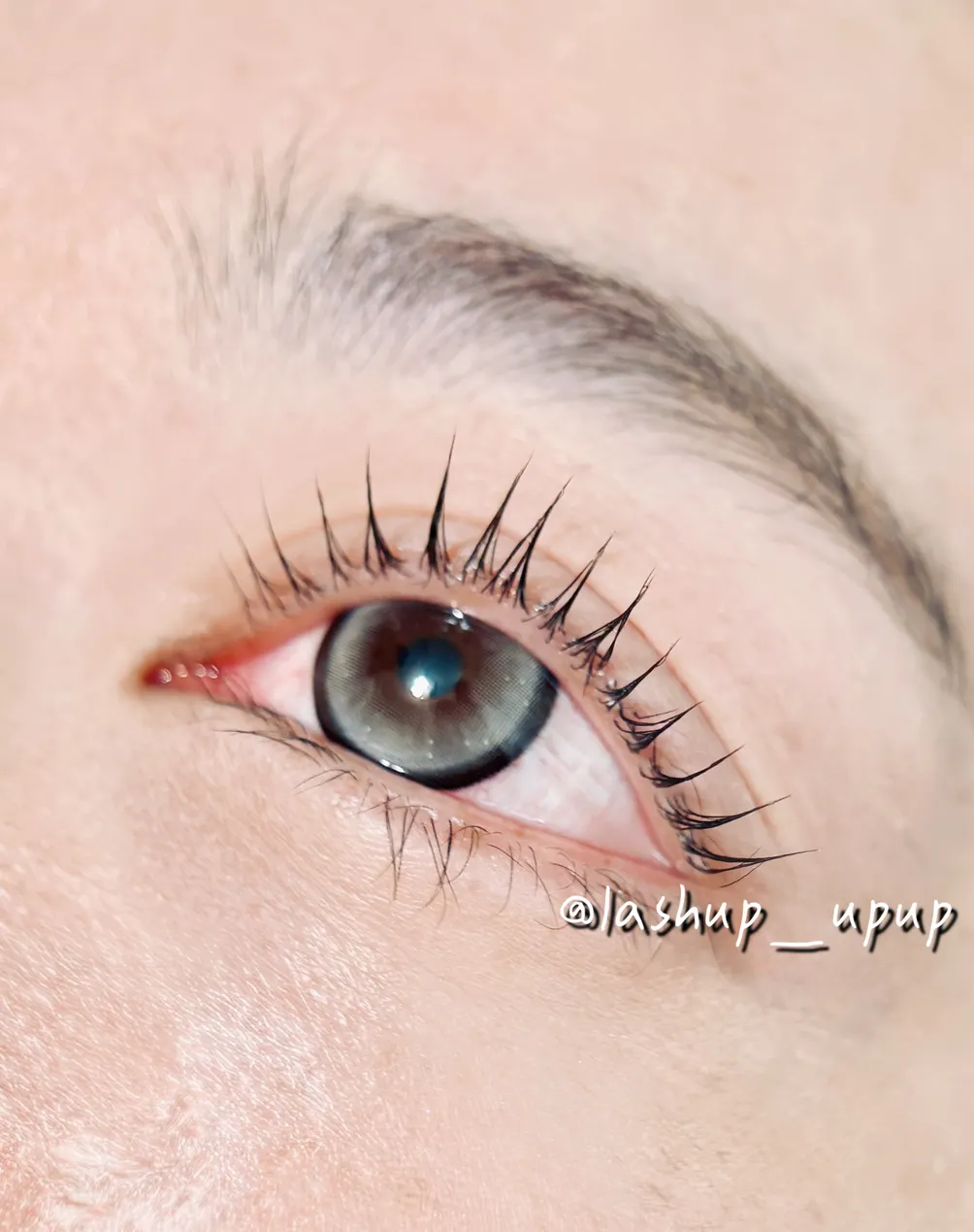 Lash UP! 林口龜山睫毛管理