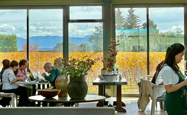 坐落於馬丁堡，窗外一片金黃葡萄園的酒莊餐廳，炭烤和牛好好吃。