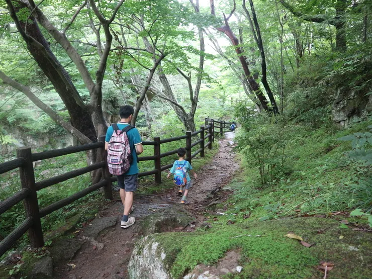 唯一需注意的是步道因水氣較多有點濕滑,建議穿著運動鞋前往