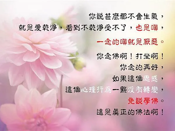 你說甚麽都不會生氣,就是愛乾淨,看到不乾淨受不了,也是嗔,一念的嗔就是厭惡。你念佛啊!打坐啊!你念的再好,如果這個思惑,這個心理行為一點沒有轉變,免談學佛。這是真正的佛法啊!