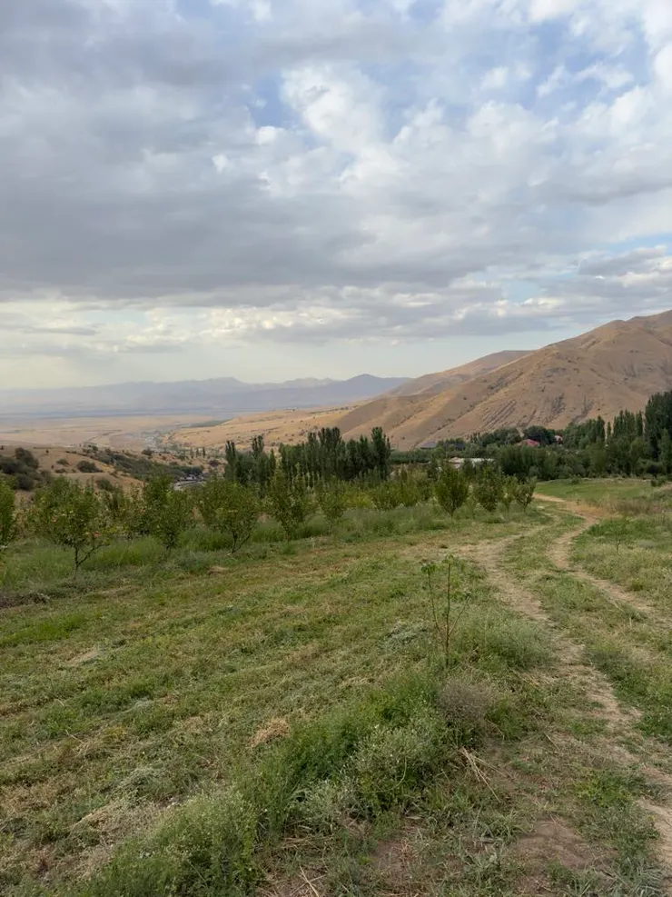 前往國家公園的路上，往民宿回頭望