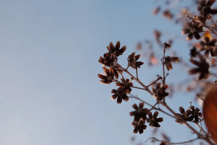 感謝也包含了生活中美好的一切