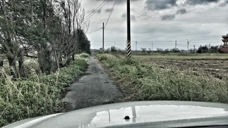 每天工作就是去找荒廢農地亂亂蛇，當時覺得人生很沒目標