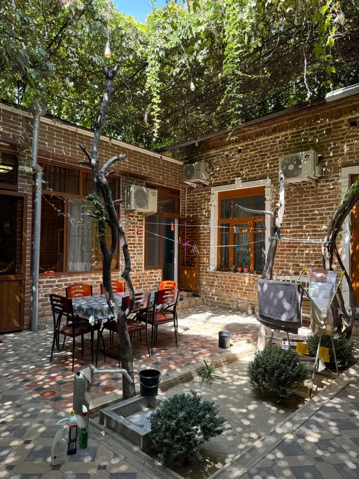 住宿旅館的中庭,樹影斑駁