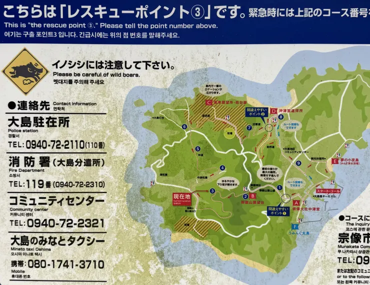 山豬出沒　請小心