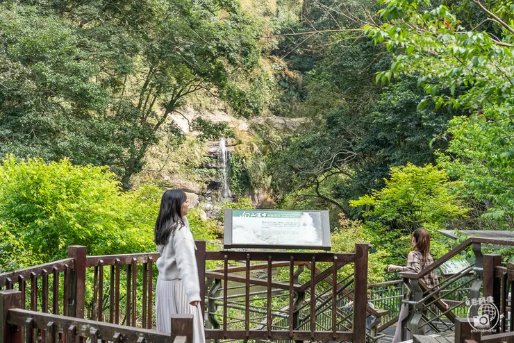 圓潭自然生態園區,圓潭生態園區,圓潭,嘉義景點,梅山景點,瑞里景點,嘉義,登山步道,戶外休閒,嘉義IG打卡