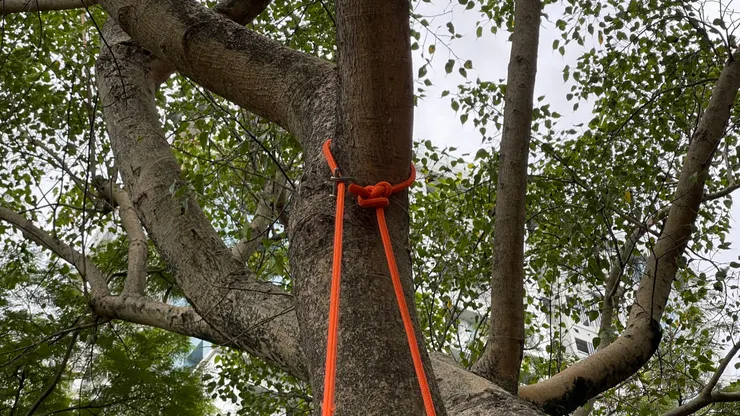 作為頂部固定點使用