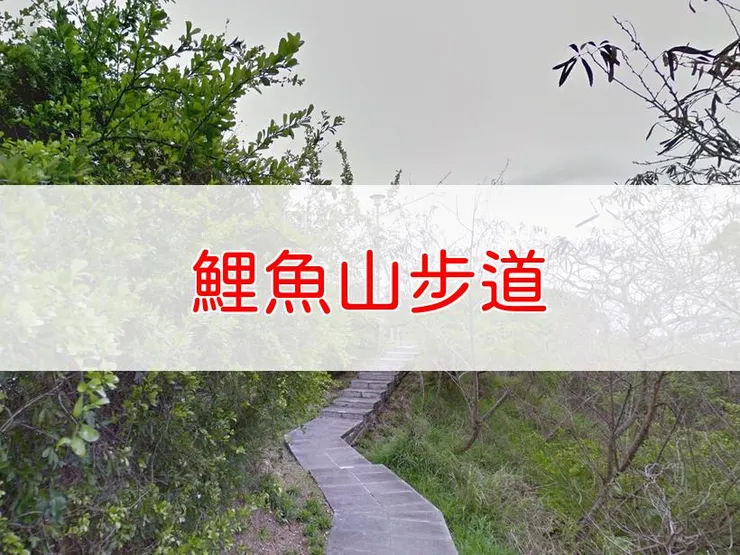 【台東】鯉魚山步道 | 全長里程：單程0.6公里 | 難易度：低，適合各年齡層