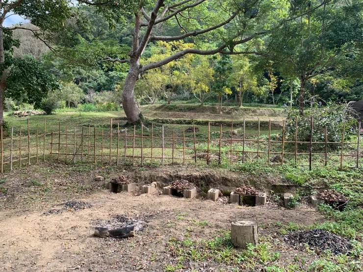 荒廢了，但還保留著，或許某一天會重新開啟吧！